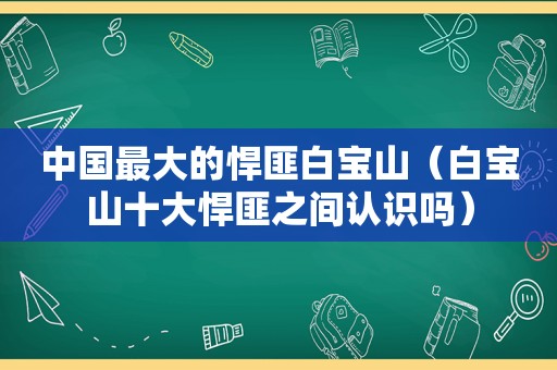 中国最大的悍匪白宝山（白宝山十大悍匪之间认识吗）