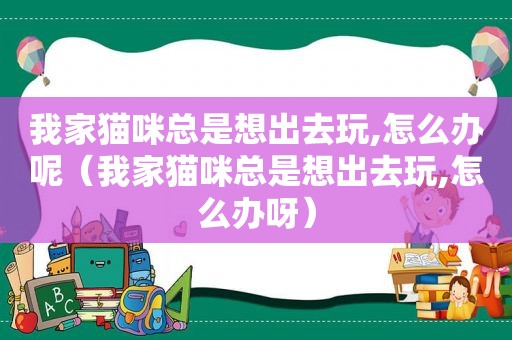 我家猫咪总是想出去玩,怎么办呢（我家猫咪总是想出去玩,怎么办呀）