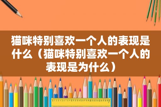 猫咪特别喜欢一个人的表现是什么（猫咪特别喜欢一个人的表现是为什么）