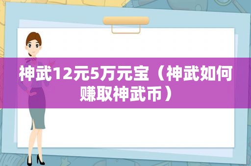 神武12元5万元宝（神武如何赚取神武币）