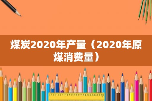 煤炭2020年产量（2020年原煤消费量）