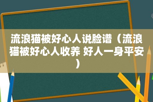 流浪猫被好心人说脸谱（流浪猫被好心人收养 好人一身平安）