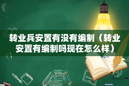 转业兵安置有没有编制（转业安置有编制吗现在怎么样）