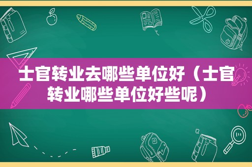 士官转业去哪些单位好（士官转业哪些单位好些呢）