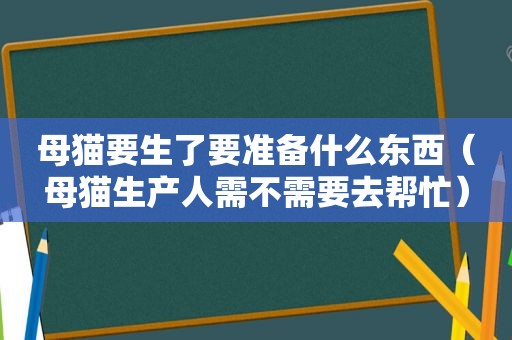 母猫要生了要准备什么东西（母猫生产人需不需要去帮忙）