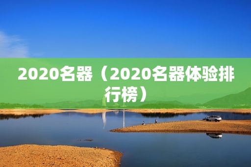 2020名器（2020名器体验排行榜）