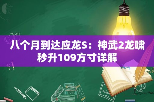 八个月到达应龙S：神武2龙啸秒升109方寸详解