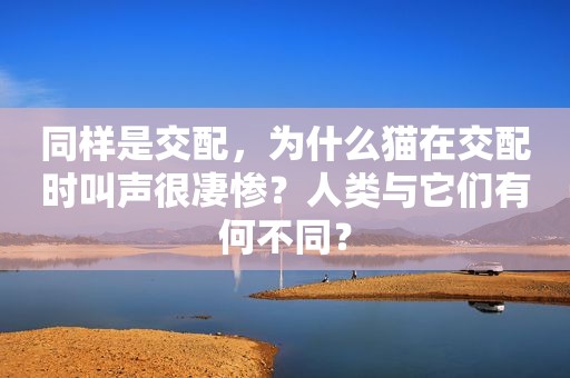 同样是交配，为什么猫在交配时叫声很凄惨？人类与它们有何不同？