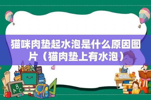 猫咪肉垫起水泡是什么原因图片（猫肉垫上有水泡）