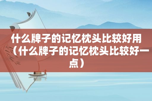 什么牌子的记忆枕头比较好用（什么牌子的记忆枕头比较好一点）