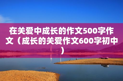 在关爱中成长的作文500字作文（成长的关爱作文600字初中）