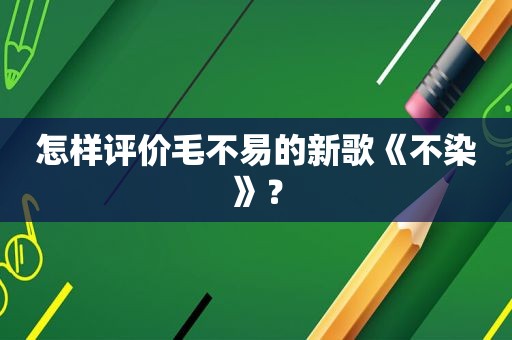 怎样评价毛不易的新歌《不染》？