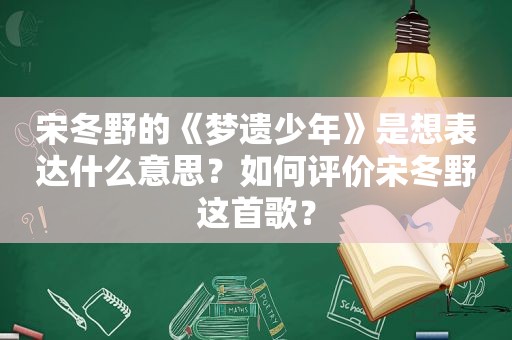 宋冬野的《梦遗少年》是想表达什么意思？如何评价宋冬野这首歌？