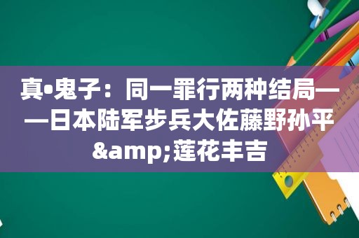 真•鬼子：同一罪行两种结局——日本陆军步兵大佐藤野孙平&莲花丰吉