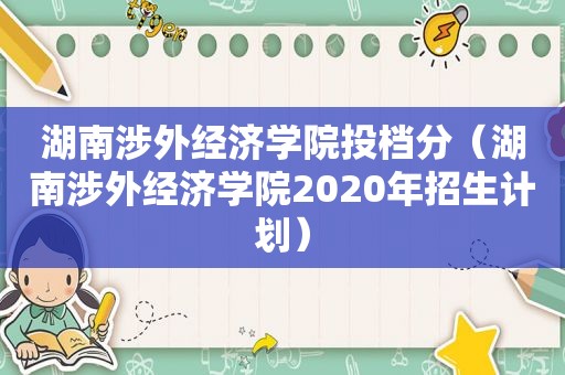 湖南涉外经济学院投档分（湖南涉外经济学院2020年招生计划）