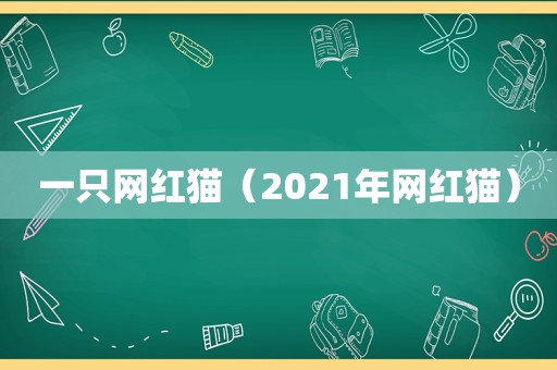 一只网红猫（2021年网红猫）