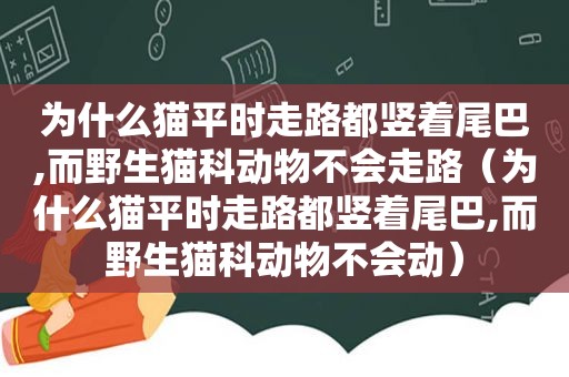 为什么猫平时走路都竖着尾巴,而野生猫科动物不会走路（为什么猫平时走路都竖着尾巴,而野生猫科动物不会动）