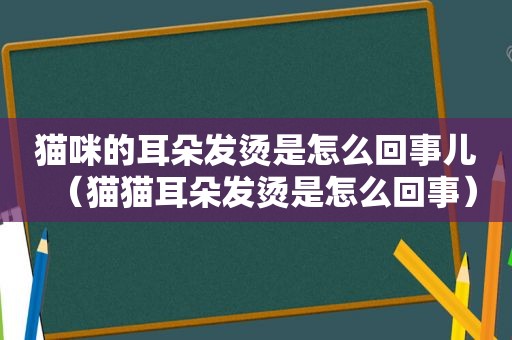 猫咪的耳朵发烫是怎么回事儿（猫猫耳朵发烫是怎么回事）