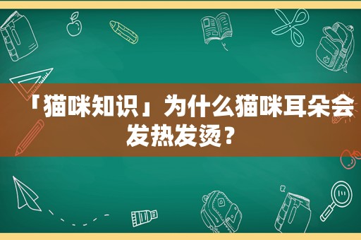 「猫咪知识」为什么猫咪耳朵会发热发烫？