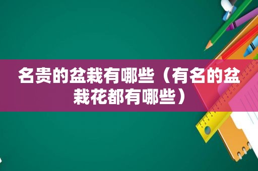 名贵的盆栽有哪些（有名的盆栽花都有哪些）