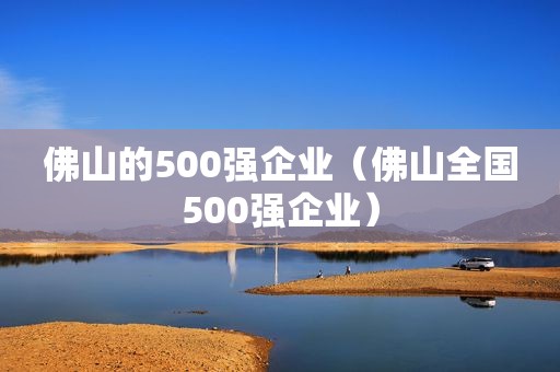 佛山的500强企业（佛山全国500强企业）