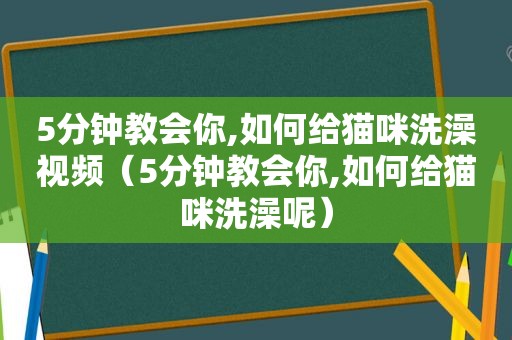 5分钟教会你,如何给猫咪洗澡视频（5分钟教会你,如何给猫咪洗澡呢）