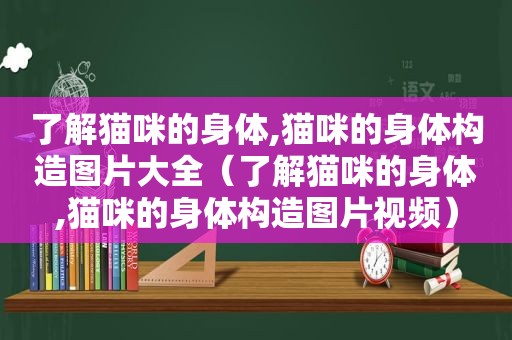 了解猫咪的身体,猫咪的身体构造图片大全（了解猫咪的身体,猫咪的身体构造图片视频）