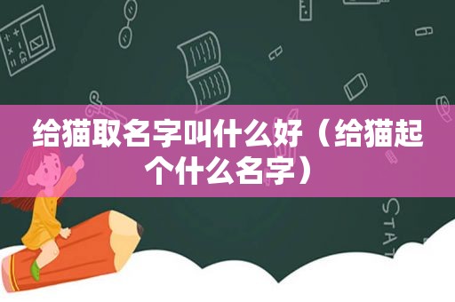 给猫取名字叫什么好（给猫起个什么名字）