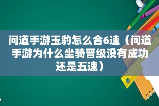 问道手游玉豹怎么合6速（问道手游为什么坐骑晋级没有成功还是五速）