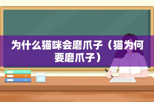 为什么猫咪会磨爪子（猫为何要磨爪子）