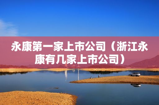 永康第一家上市公司（浙江永康有几家上市公司）