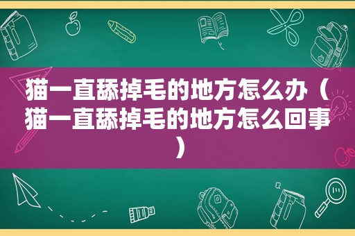 猫一直舔掉毛的地方怎么办（猫一直舔掉毛的地方怎么回事）