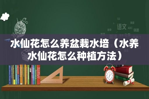 水仙花怎么养盆栽水培（水养水仙花怎么种植方法）