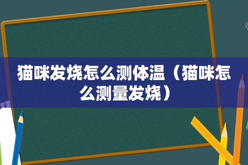 猫咪发烧怎么测体温（猫咪怎么测量发烧）