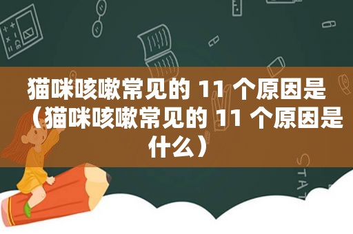 猫咪咳嗽常见的 11 个原因是（猫咪咳嗽常见的 11 个原因是什么）