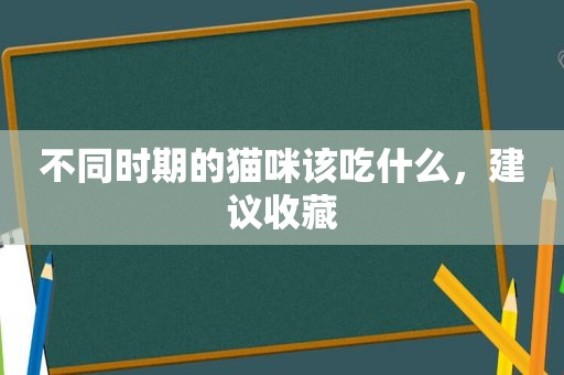 不同时期的猫咪该吃什么，建议收藏