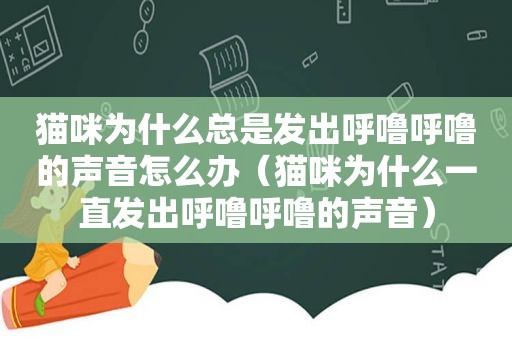 猫咪为什么总是发出呼噜呼噜的声音怎么办（猫咪为什么一直发出呼噜呼噜的声音）