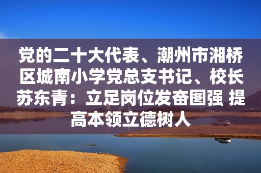 党的二十大代表、潮州市湘桥区城南小学党总支书记、校长苏东青：立足岗位发奋图强 提高本领立德树人