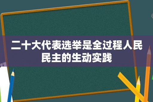 二十大代表选举是全过程人民民主的生动实践