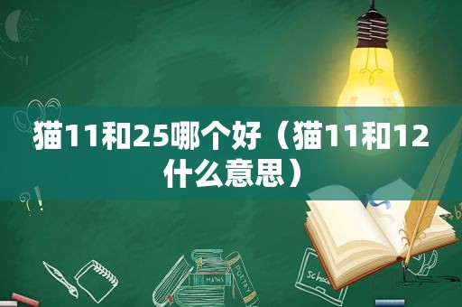 猫11和25哪个好（猫11和12什么意思）