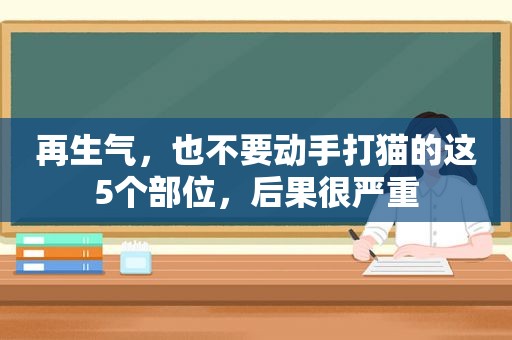 再生气，也不要动手打猫的这5个部位，后果很严重