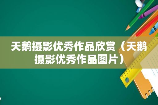 天鹅摄影优秀作品欣赏（天鹅摄影优秀作品图片）