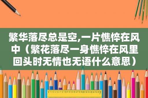 繁华落尽总是空,一片憔悴在风中（繁花落尽一身憔悴在风里回头时无情也无语什么意思）