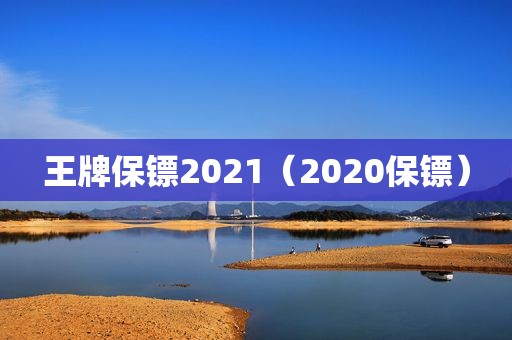 王牌保镖2021（2020保镖）