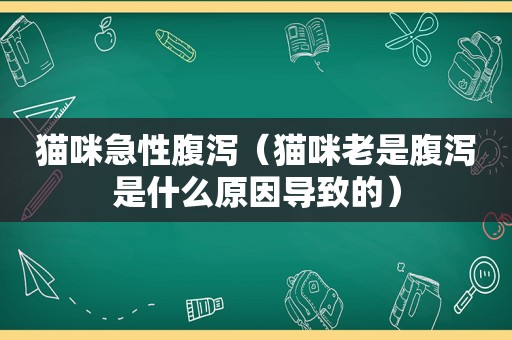 猫咪急性腹泻（猫咪老是腹泻是什么原因导致的）