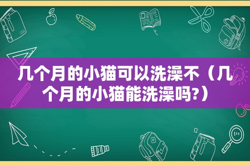 几个月的小猫可以洗澡不（几个月的小猫能洗澡吗?）