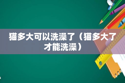 猫多大可以洗澡了（猫多大了才能洗澡）