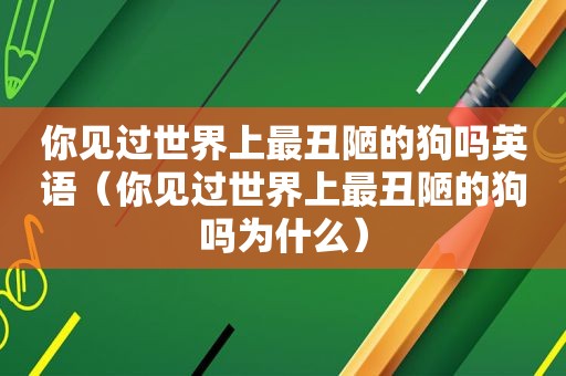 你见过世界上最丑陋的狗吗英语（你见过世界上最丑陋的狗吗为什么）