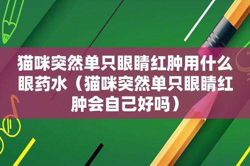 猫咪突然单只眼睛红肿用什么眼药水（猫咪突然单只眼睛红肿会自己好吗）