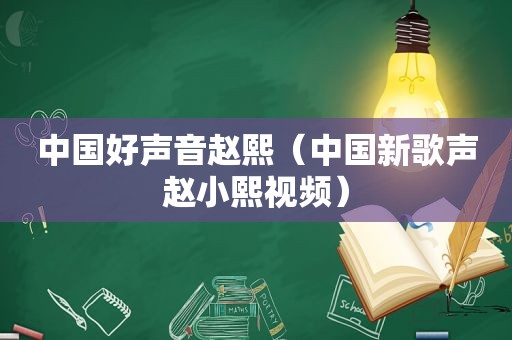 中国好声音赵熙（中国新歌声赵小熙视频）